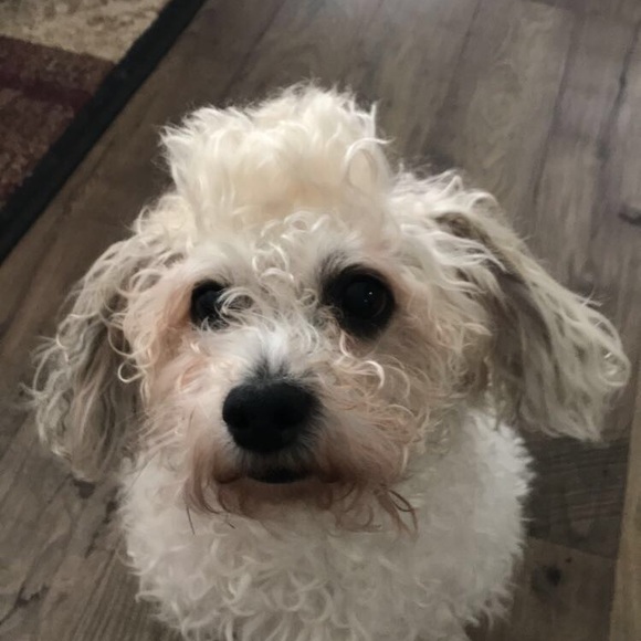 Meet your Posher, Jelene - Picture 1 of 1